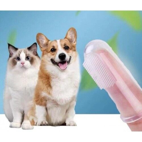 Kedi Köpek Diş Fırçası